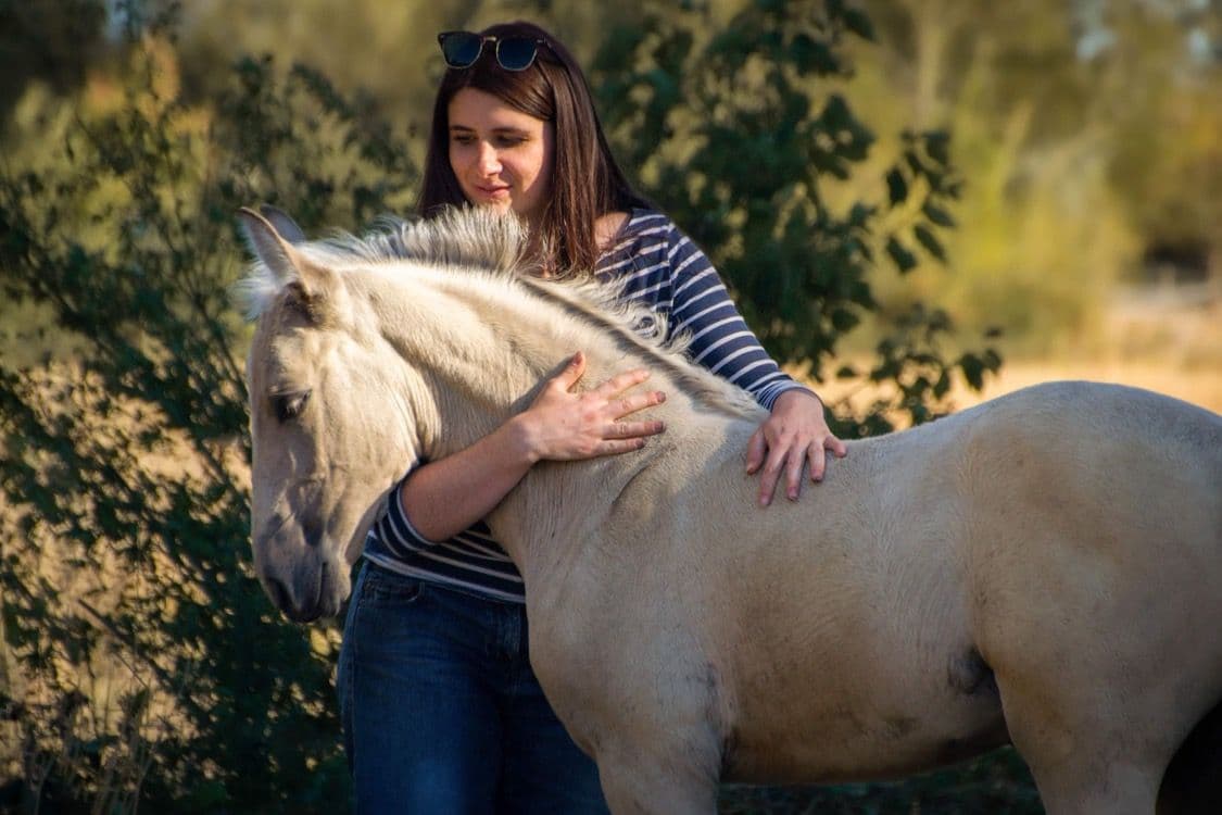 Soin énergétique pour animaux
