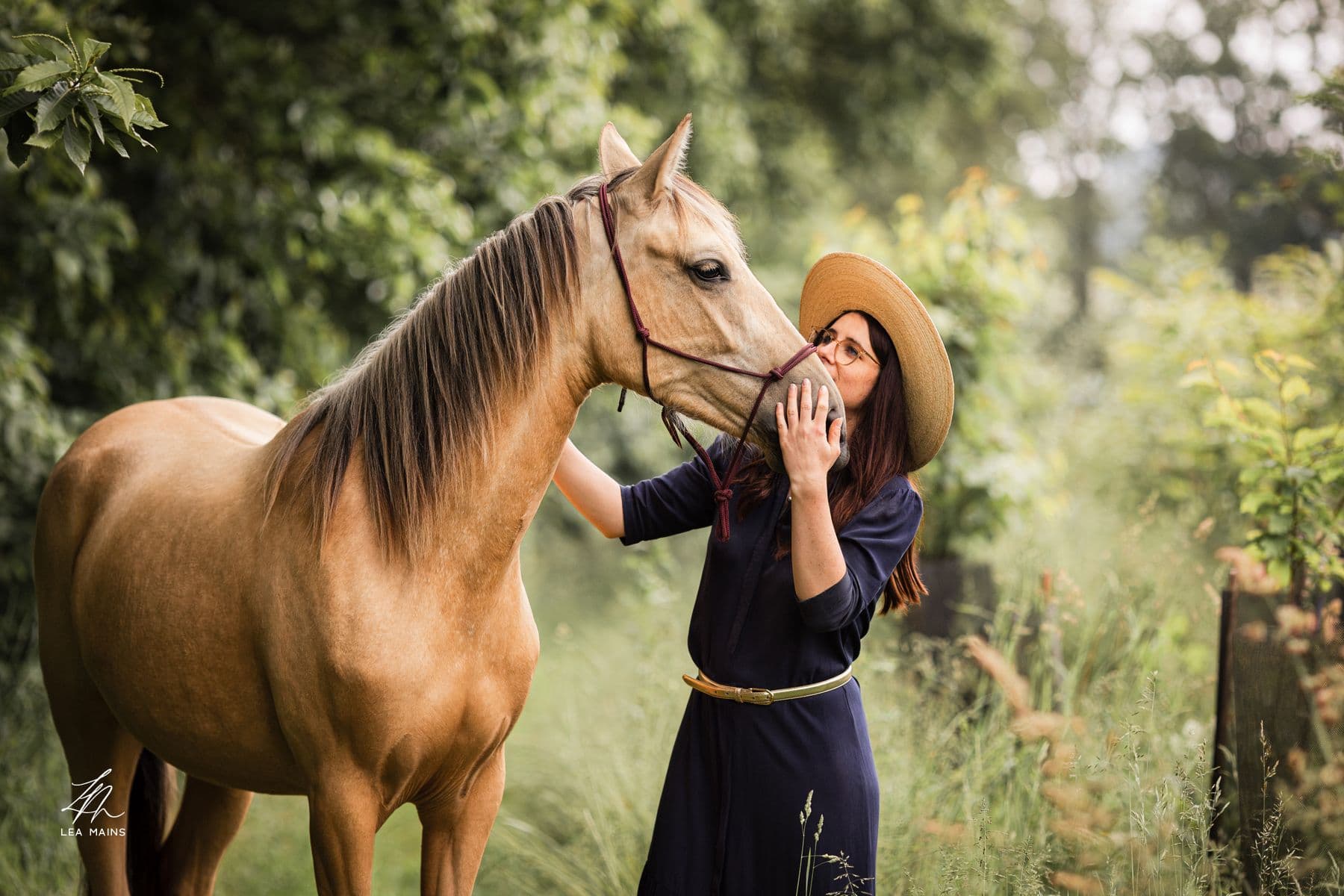 Communication animale